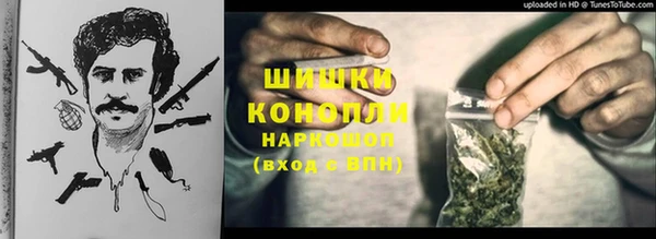 прущие крисы Алзамай