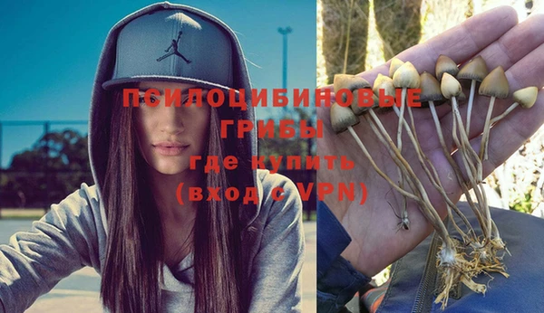 индика Алексеевка