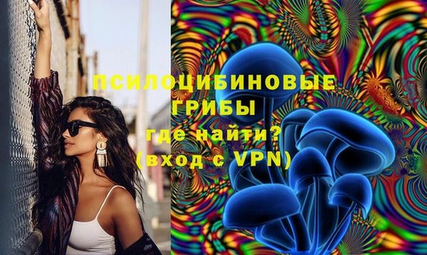 индика Алексеевка