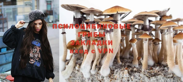 прущие крисы Алзамай