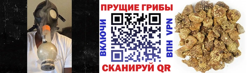 хочу   MEGA зеркало  Галлюциногенные грибы ЛСД  Лахденпохья 